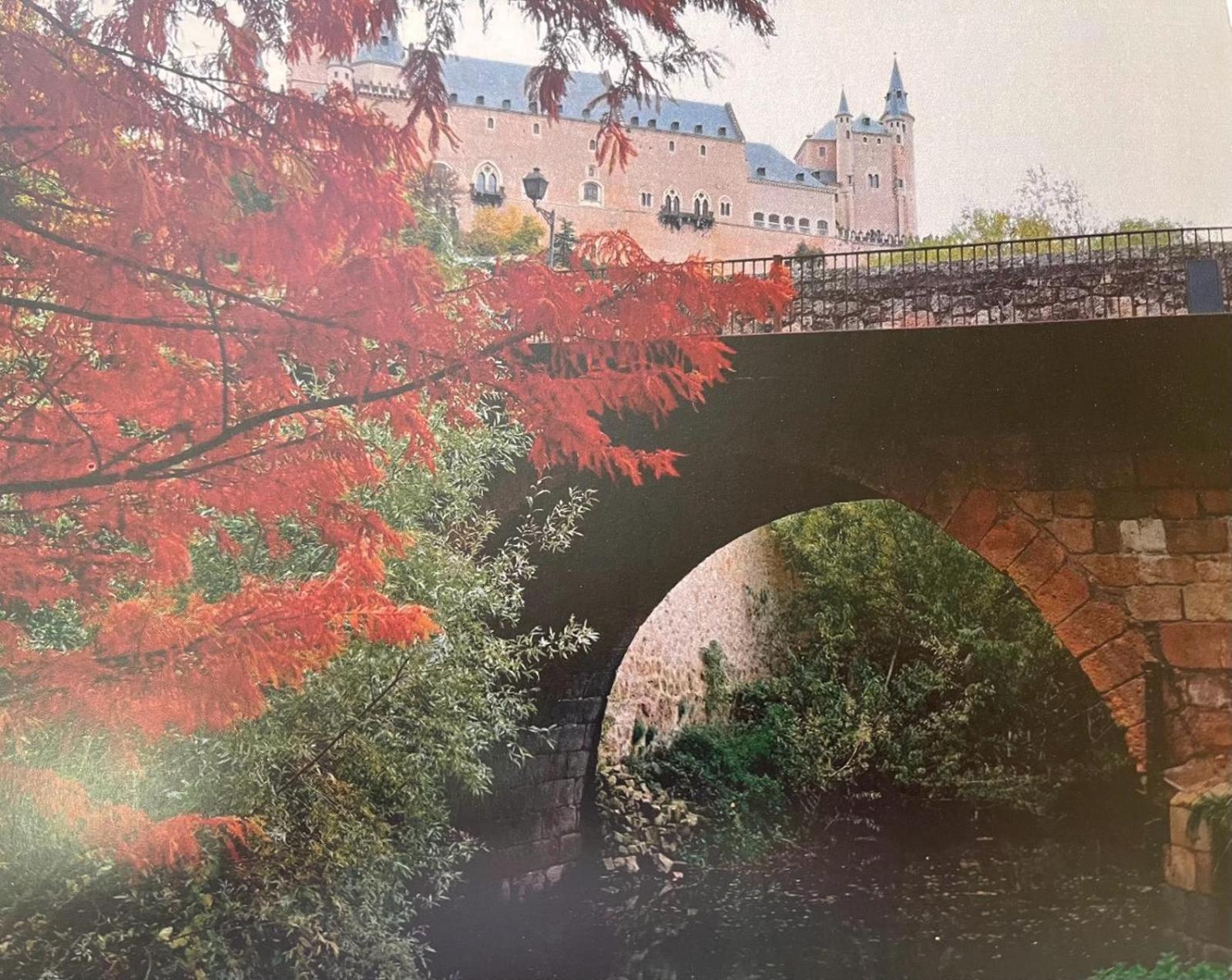 Zamarramala El Jardin De La Alegriaヴィラ エクステリア 写真